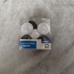Caliber Black & White Magnets Novelty Plastic Magnetic 30-Pack V-31936 NEW